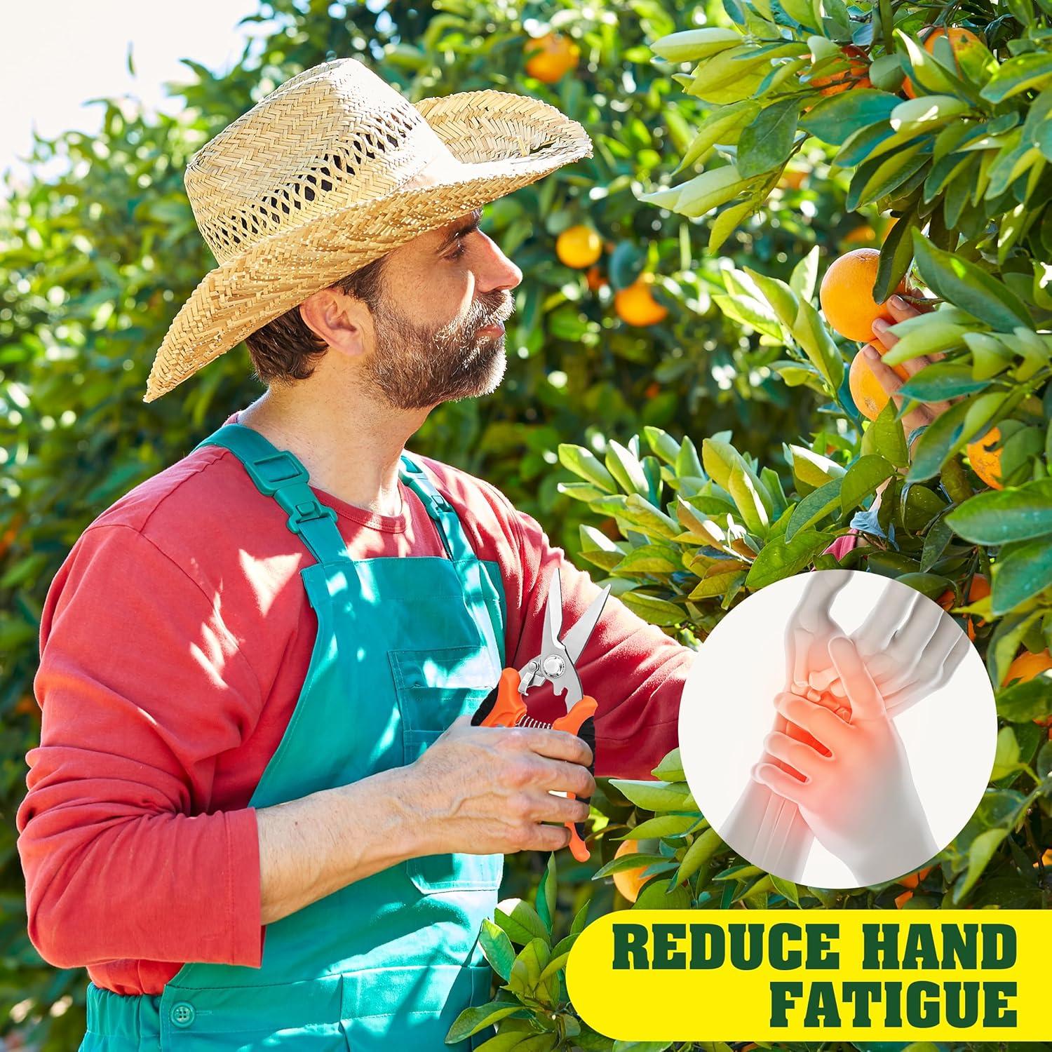 Juego de 4 Tijeras de Jardín EWPJDK Acero Inoxidable 396g