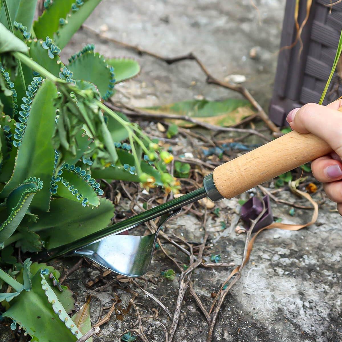 Juego de 3 herramientas de desmalezado Semifrut - Acero inoxidable