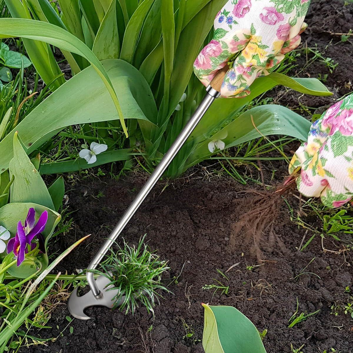 Juego de 3 herramientas de desmalezado Semifrut - Acero inoxidable