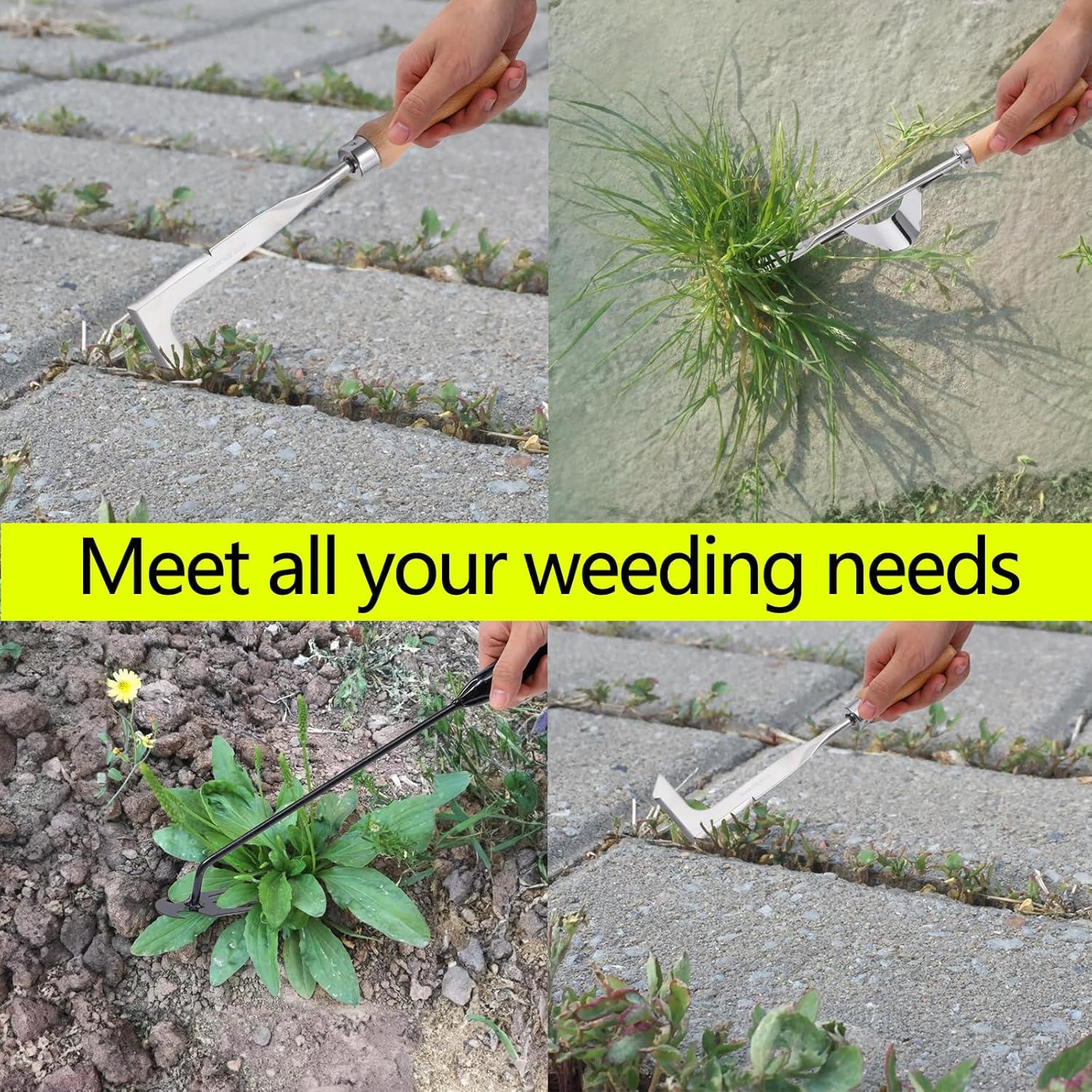 Paquete de 3 herramientas de desmalezado Theuzi - Acero inoxidable