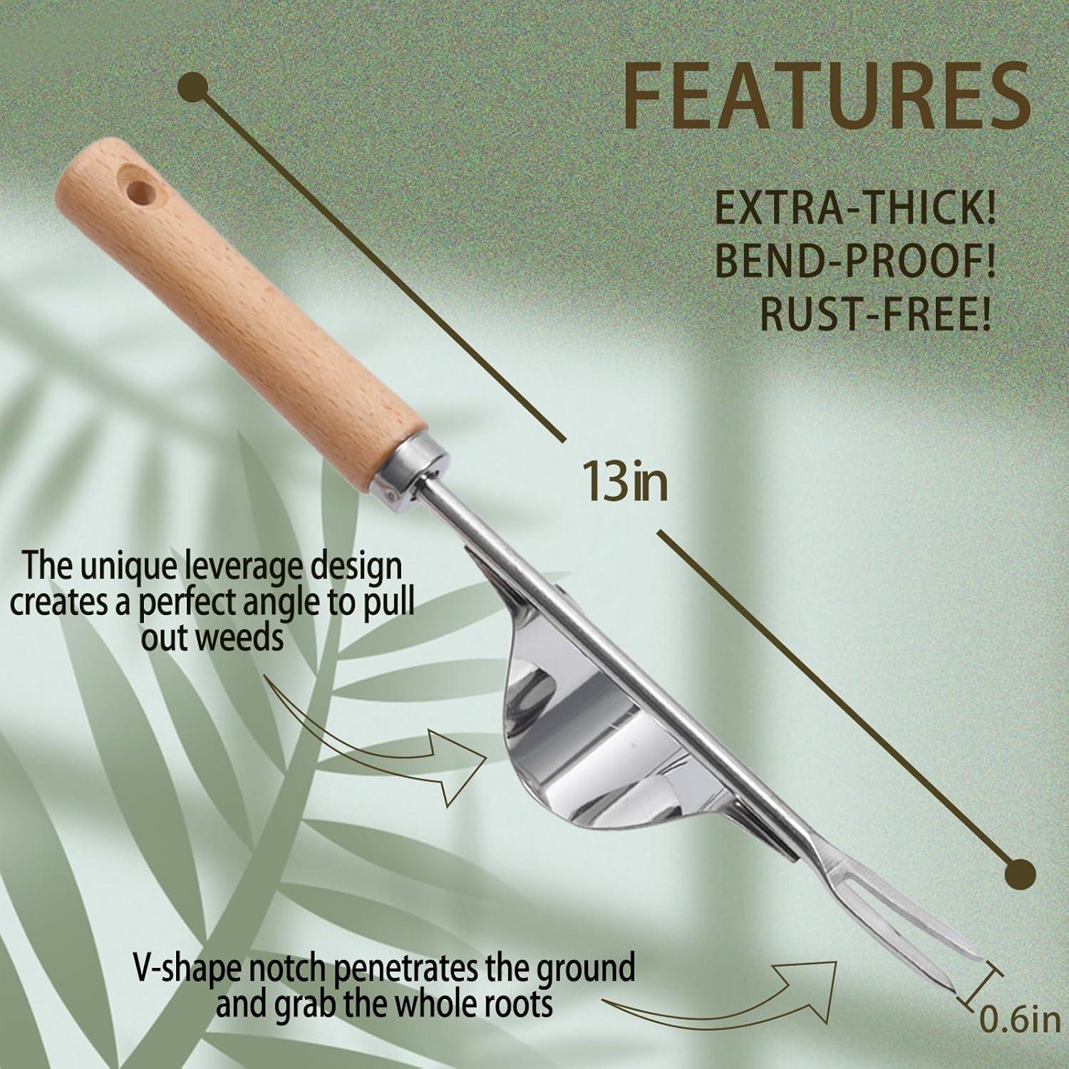 Paquete de 3 herramientas de desmalezado Theuzi - Acero inoxidable