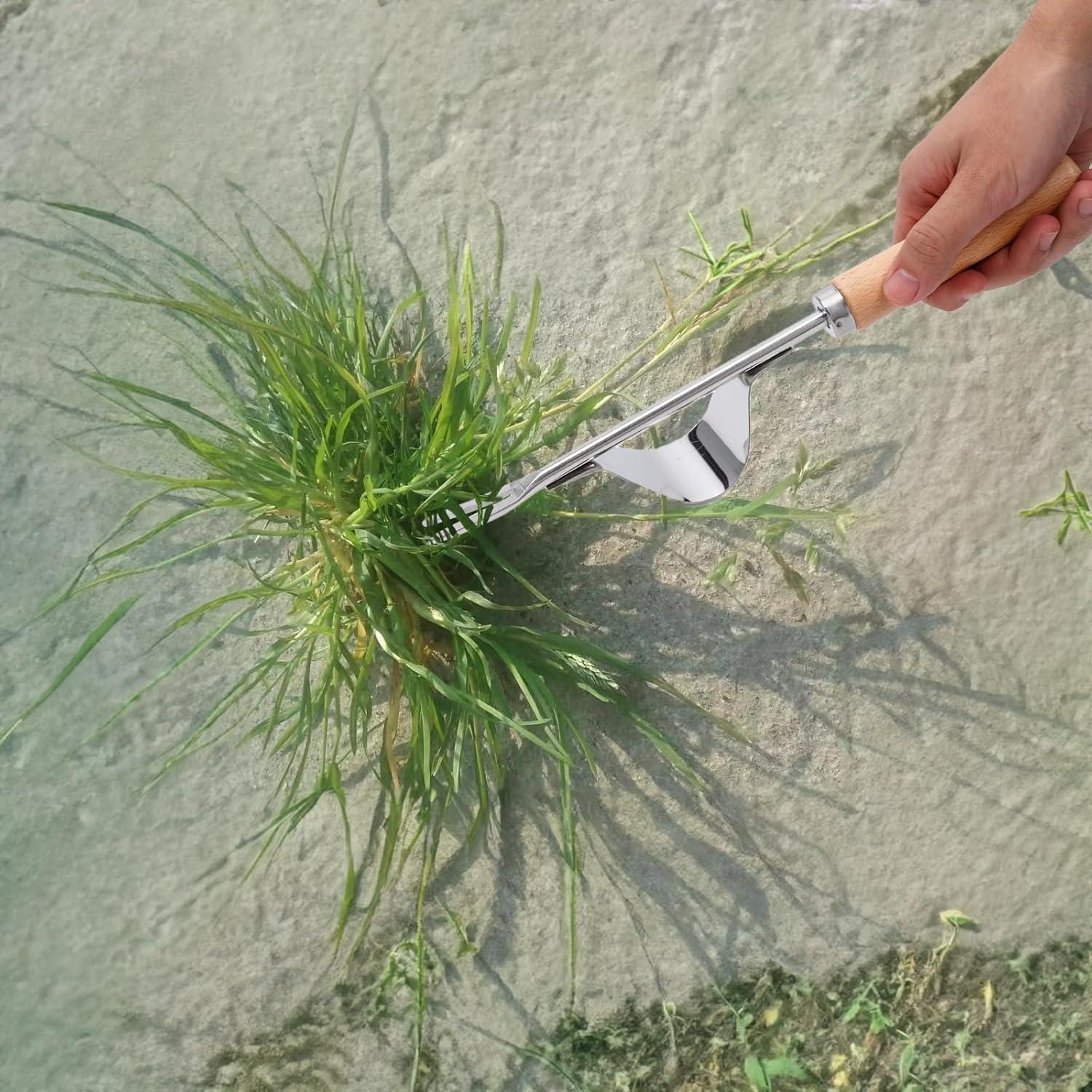 Paquete de 3 herramientas de desmalezado Theuzi - Acero inoxidable