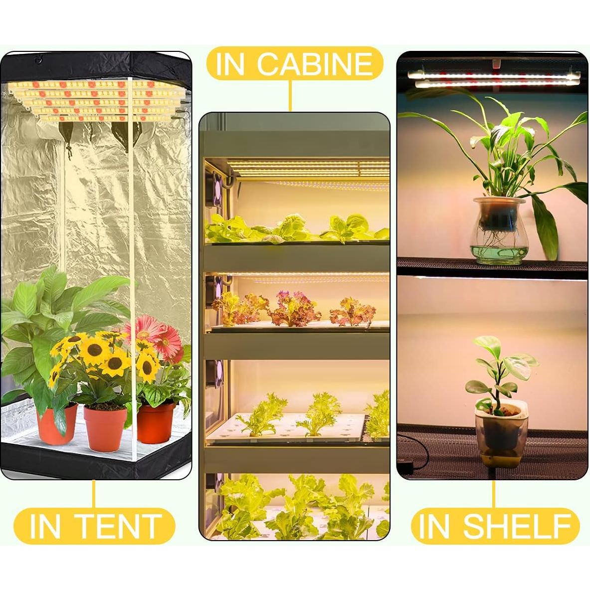 Tiras de Luz LED de Crecimiento GYTF 6.1m Regulable 3500K