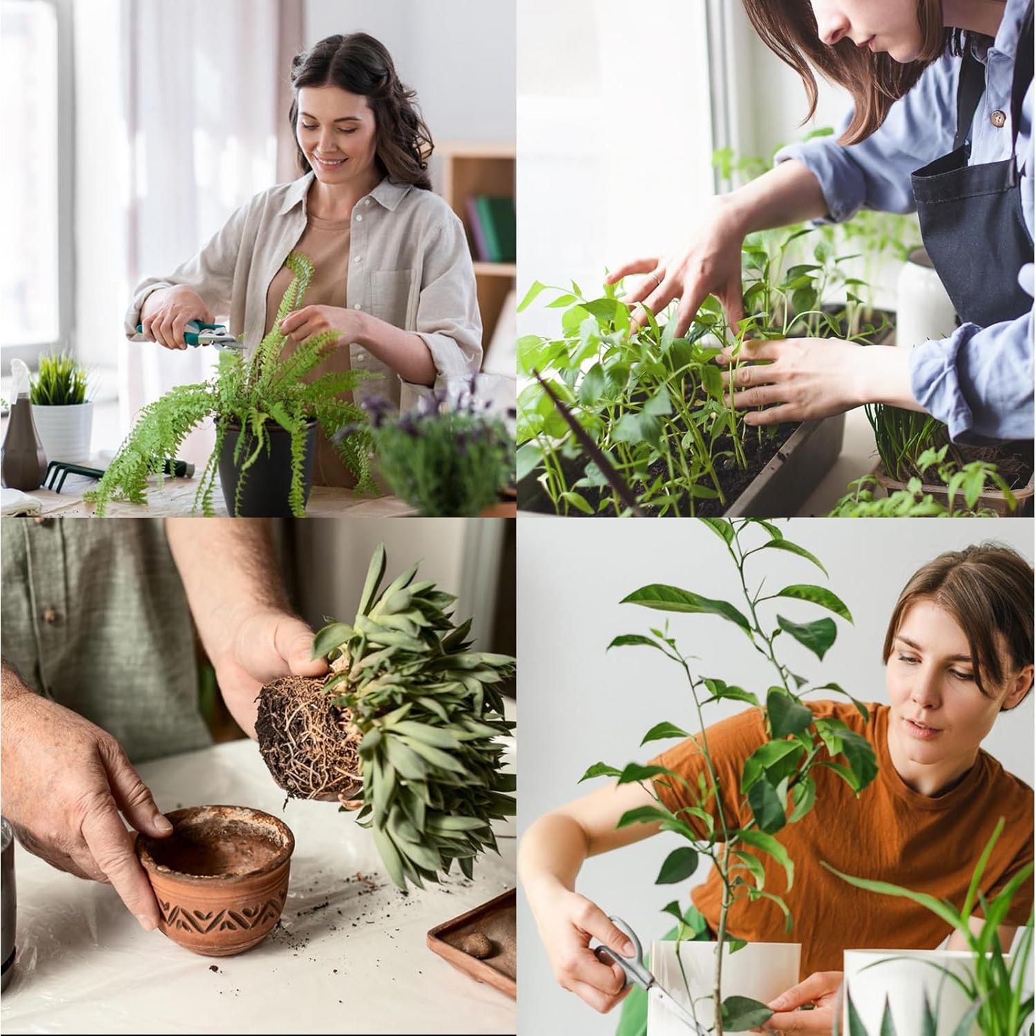 Luz de Crecimiento LED Mefflypee Tipo B con Trípode Ajustable