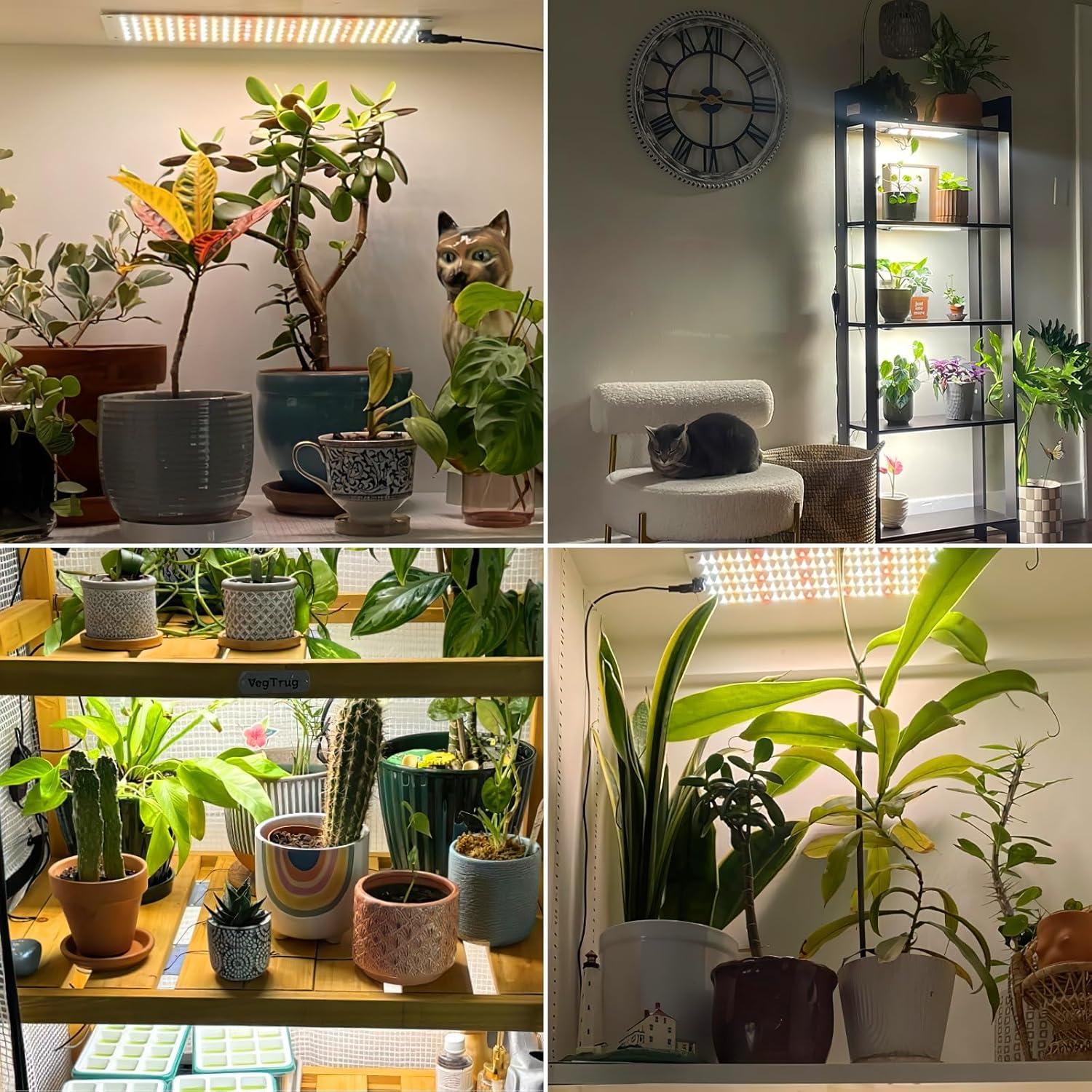 Lámpara de Cultivo LED LBW 20W Espectro Completo 2 Paquete