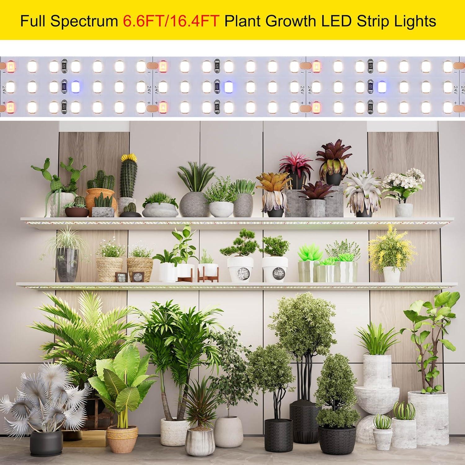 Luz de Crecimiento LED 5m FOSUO Espectro Completo 120W