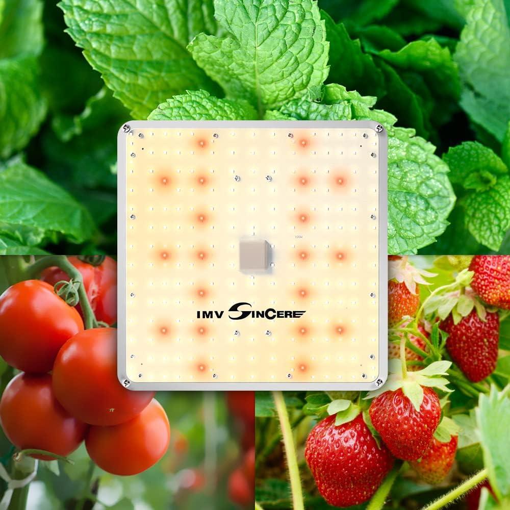 Luz de Cultivo LED IMVSINCERE 100W Espectro Completo para Plantas