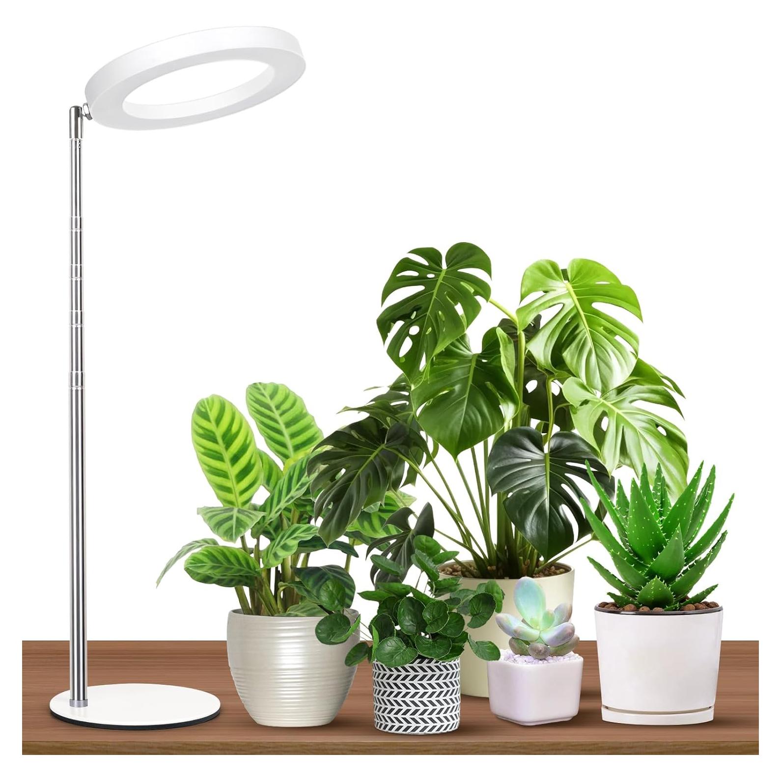 Luz de Cultivo de Escritorio GTRUIIDY Ajustable 3 Modos 10 Brillos