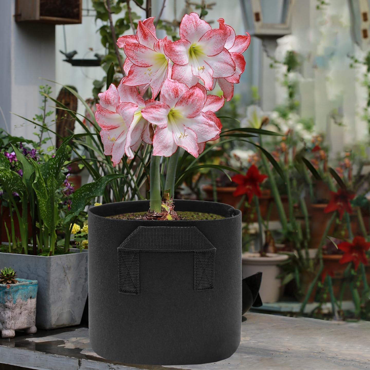 Eunika 6 Bolsas de Cultivo de Tela 11.36L para Lirios y Verduras