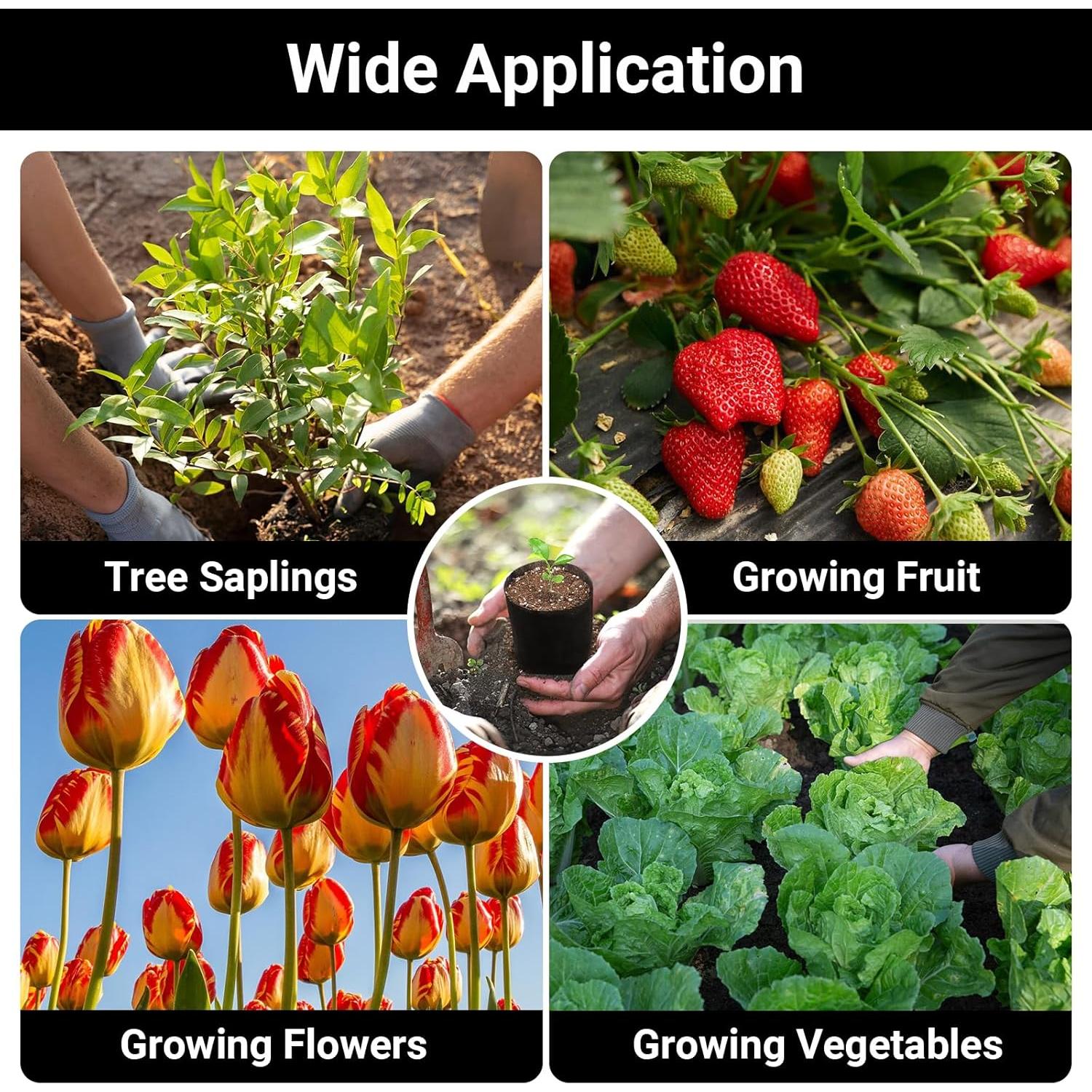 Bolsas de Cultivo Negras ENPOINT 200 Unidades 14.99x13.97 cm