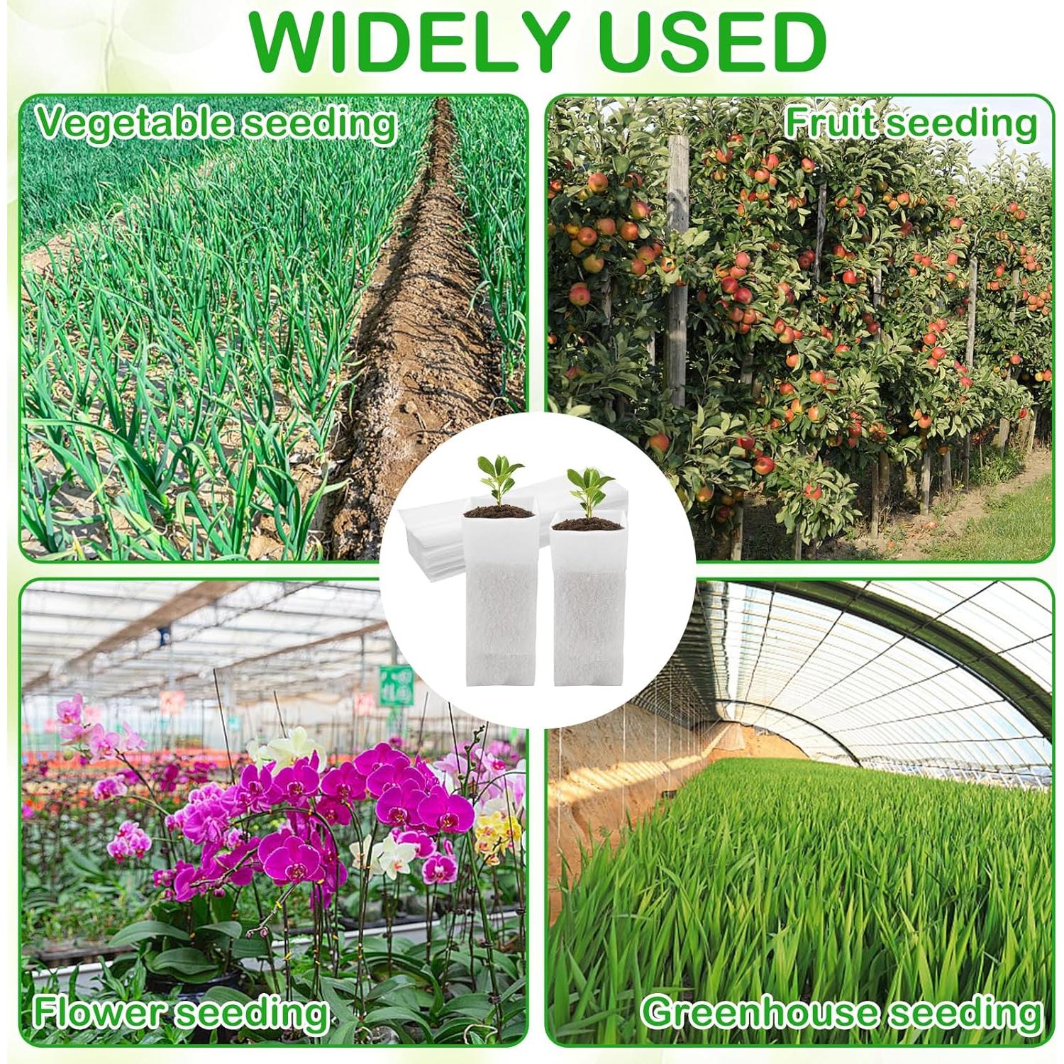 Bolsas de Crecimiento para Vivero CANIPHA 60 Pcs Biodegradables