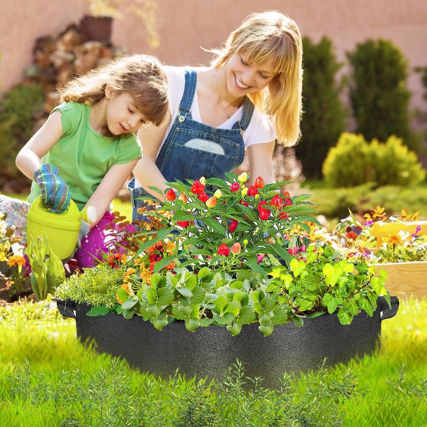 Paquete de 2 bolsas de cultivo ZtohPyo 15 galones redondas
