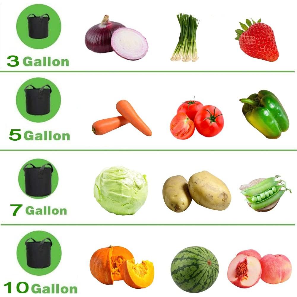 Paquete de 6 bolsas de cultivo VGE 3.78L con asas para plantas