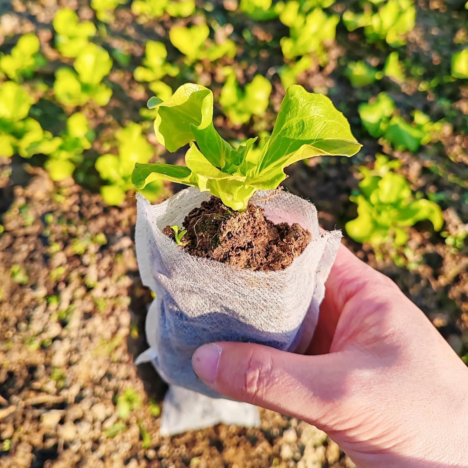 Bolsas de Vivero TIHOOD 300PCS 10x12cm Tela No Tejida