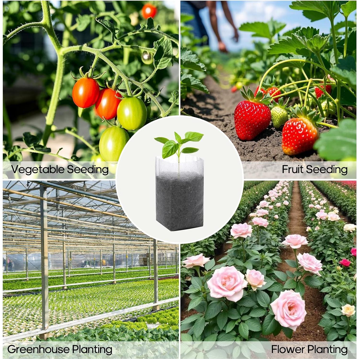 Bolsas de Crecimiento Biodegradables DFKPVBHB 200pcs 14x16cm