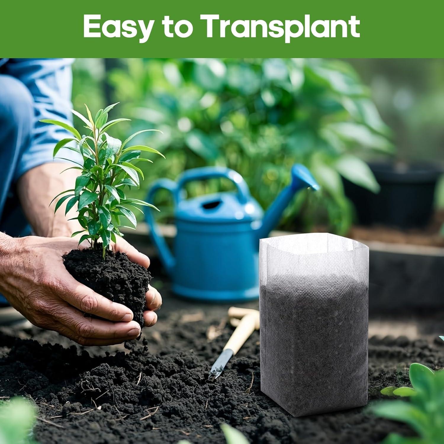 Bolsas de Crecimiento Biodegradables DFKPVBHB 200pcs 14x16cm