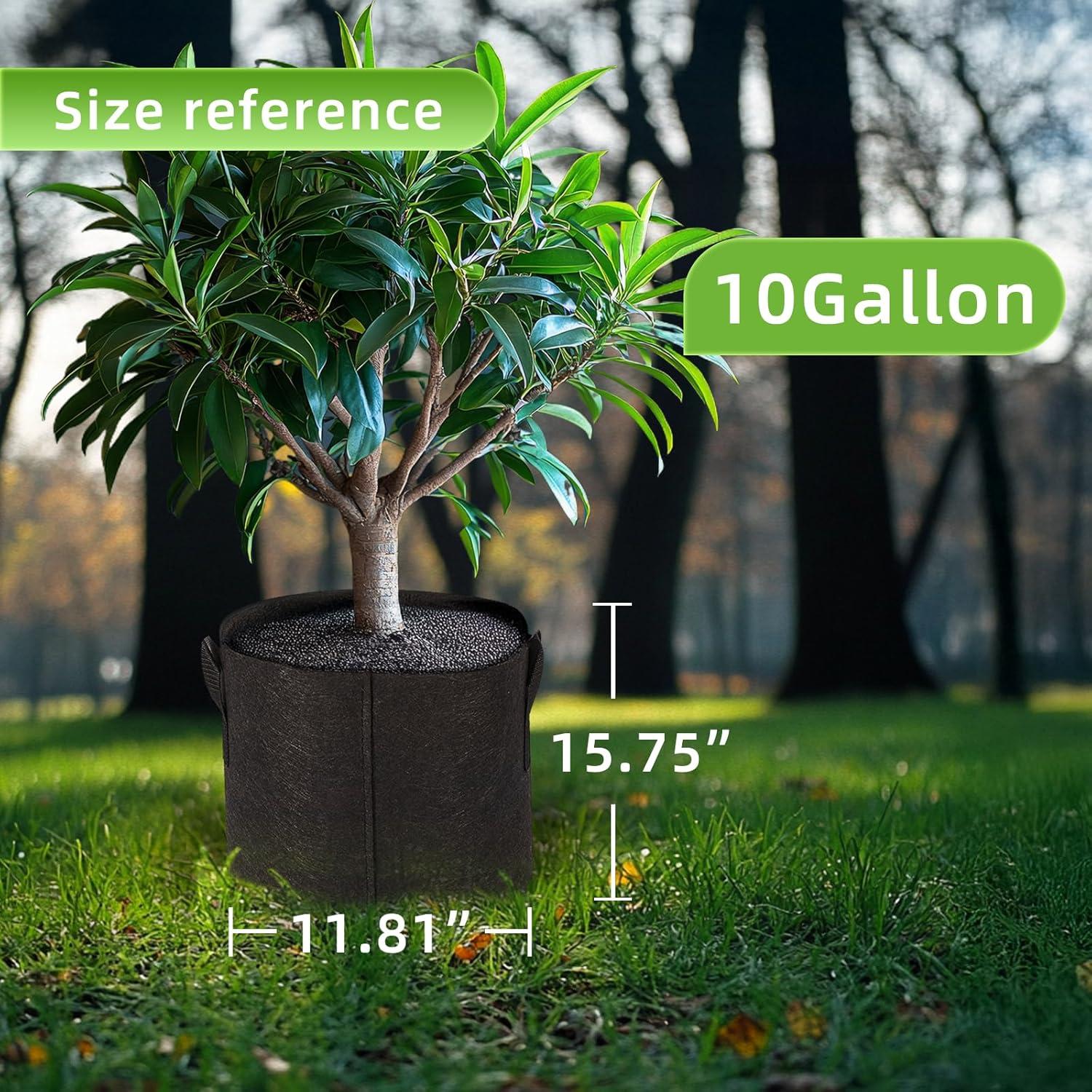 Paquete de 10 Bolsas de Cultivo de Tela Msstoodun 37.85L