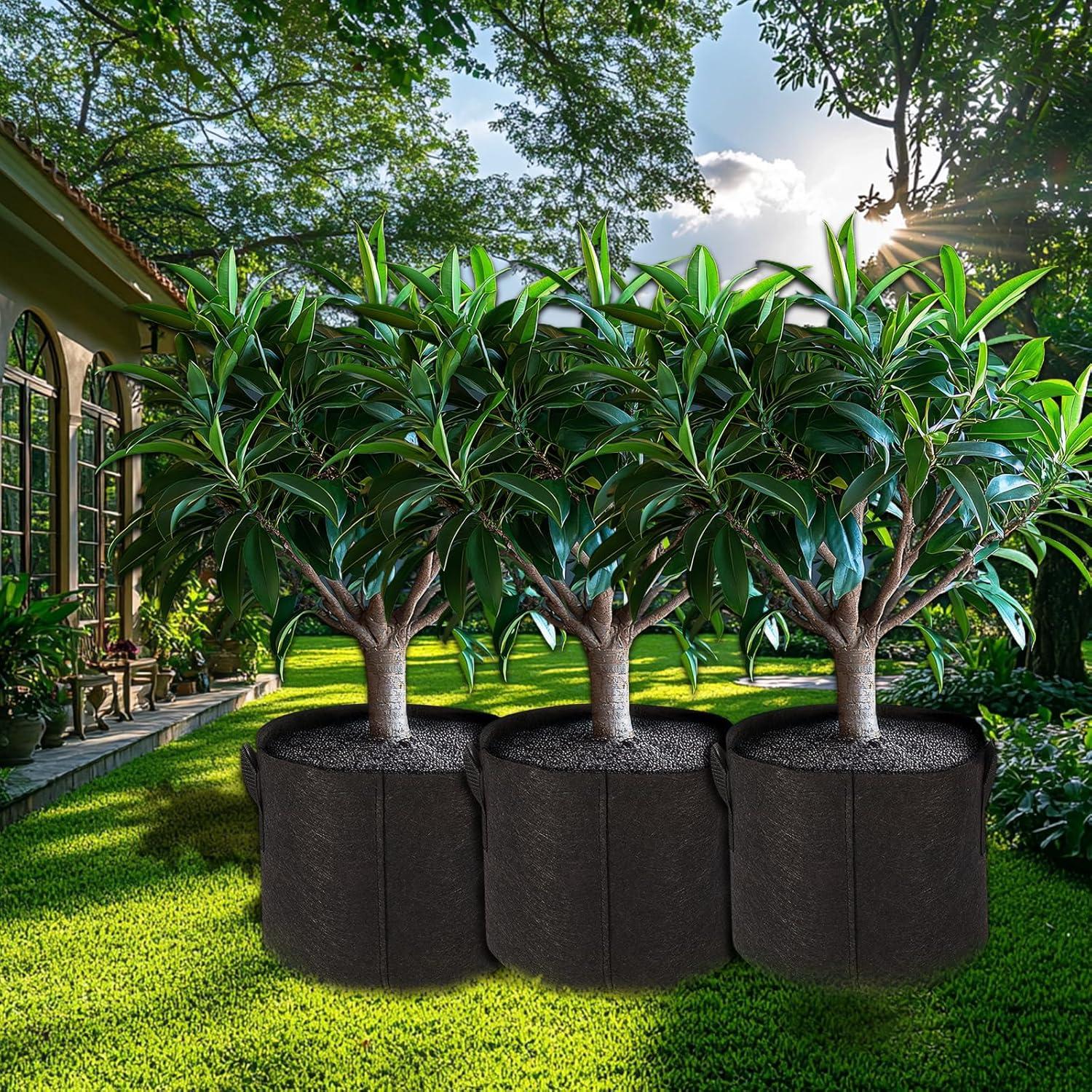 Paquete de 10 Bolsas de Cultivo de Tela Msstoodun 37.85L