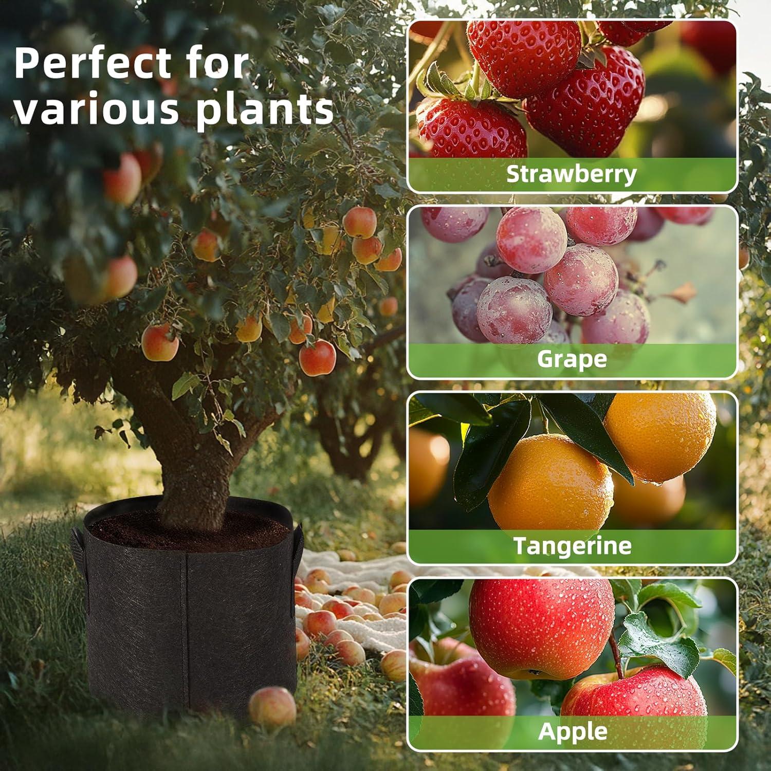 Paquete de 10 Bolsas de Cultivo de Tela Msstoodun 37.85L