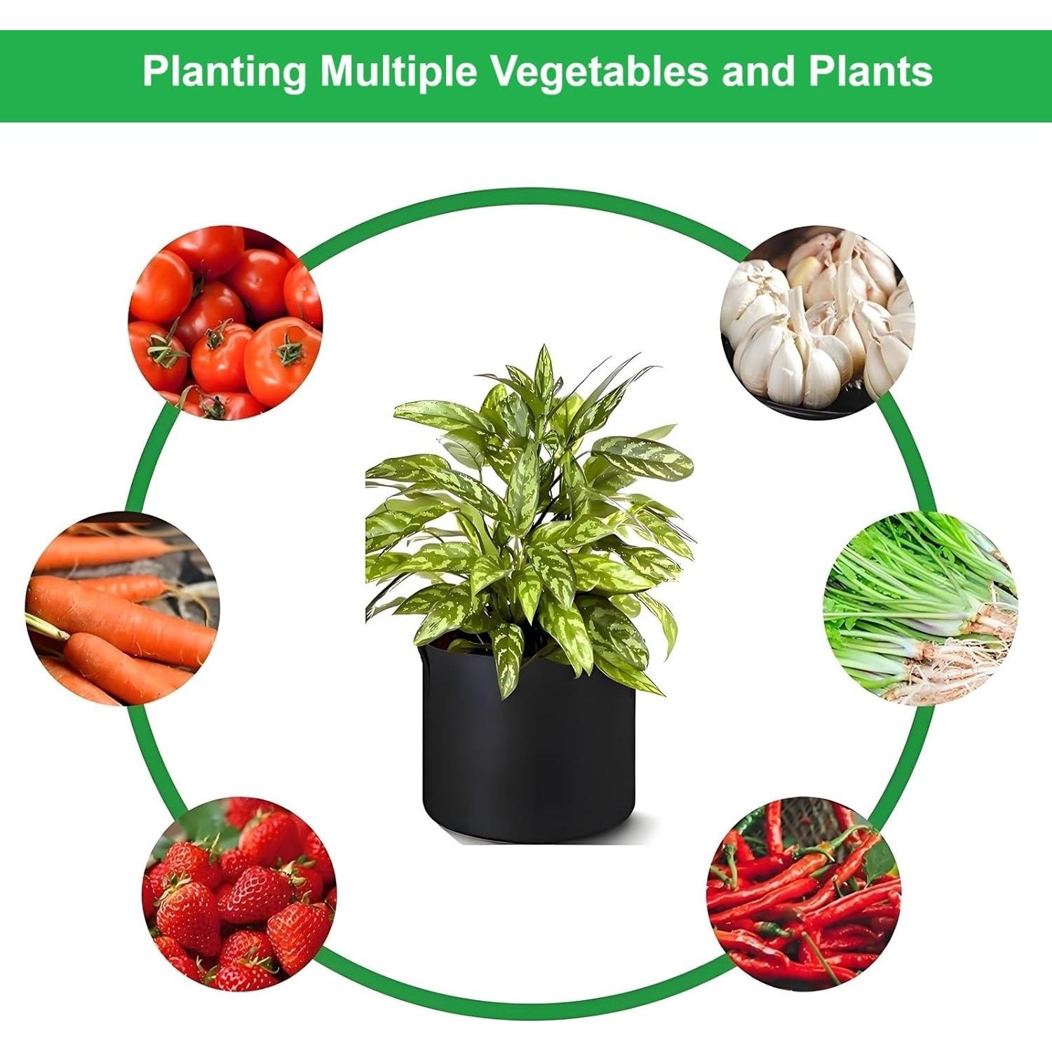 Bolsas de Crecimiento 30 Galones ANSLYQA Paquete de 10
