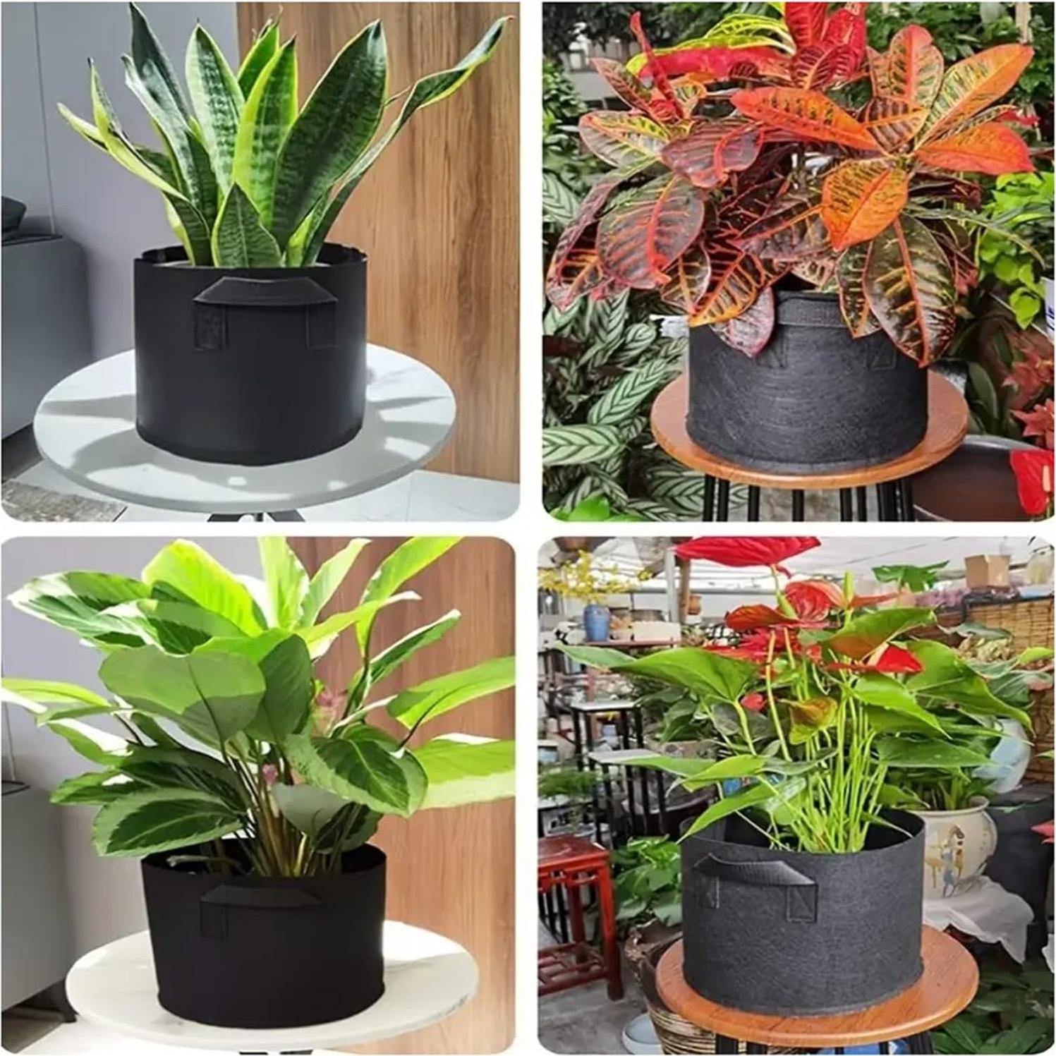 Bolsas de Crecimiento 30 Galones ANSLYQA Paquete de 10