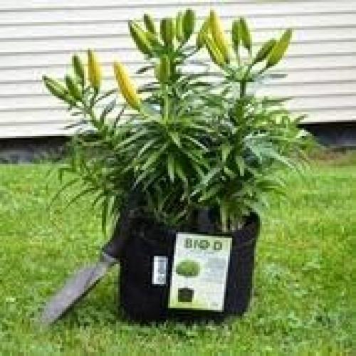 Macetas Bio-D 3-Pack 2 Galones Tela Biodegradable 7.57L