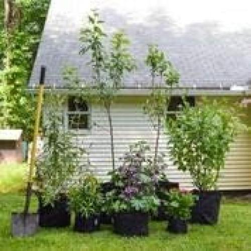 Macetas Bio-D 3-Pack 2 Galones Tela Biodegradable 7.57L