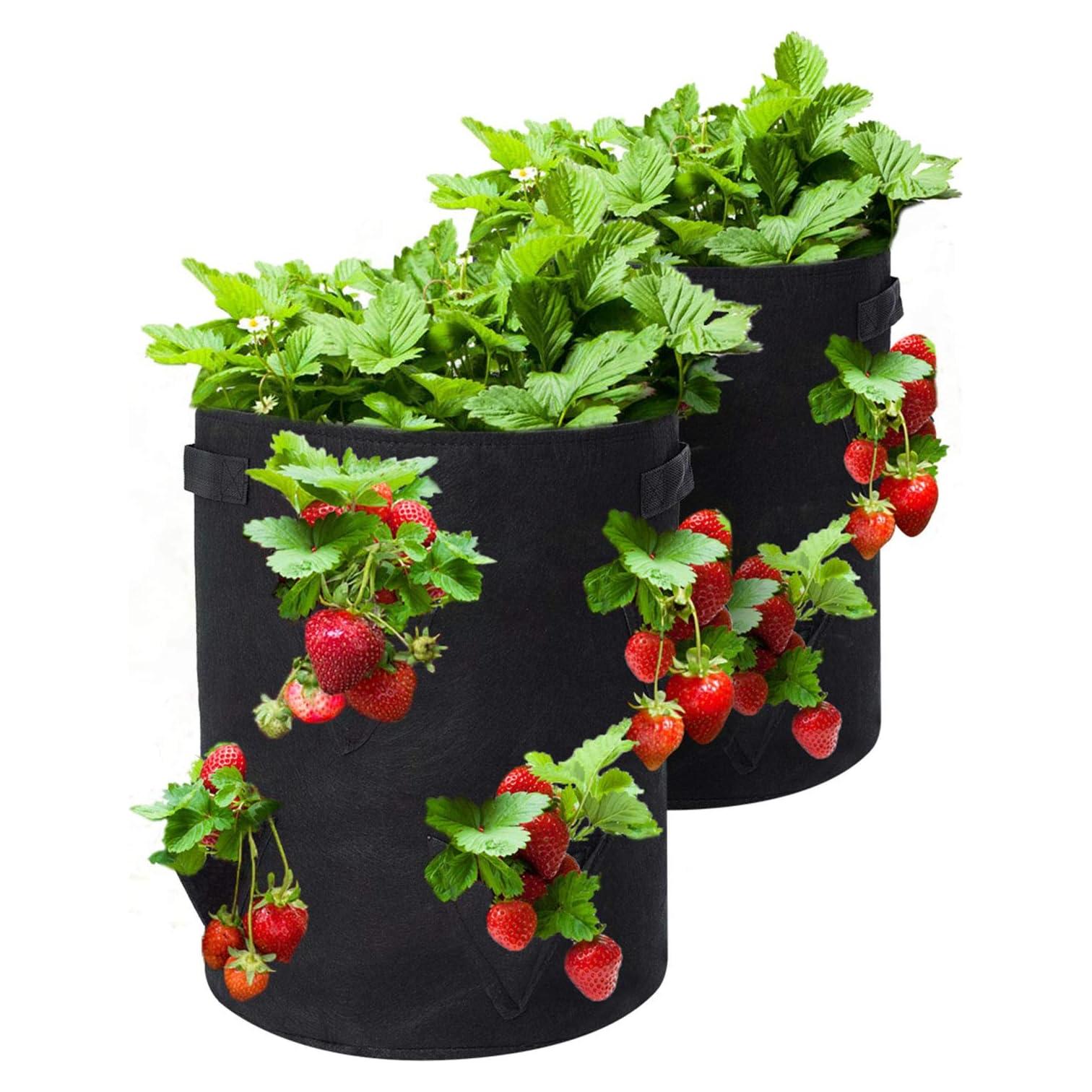 Bolsas de Cultivo de Fresa GOTGELIF 37.85L 2 Paquetes con 8 Bolsillos