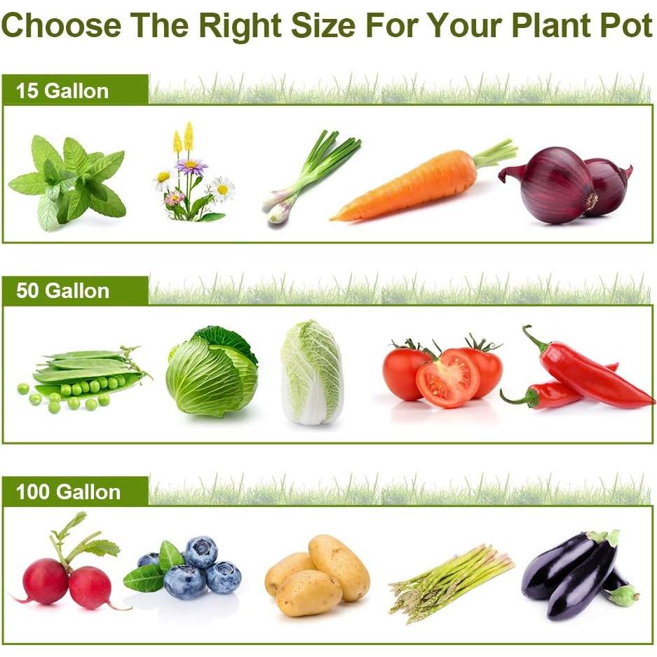 Bolsas de Cultivo de Tela IWNTWY 50 Galones - Paquete de 2