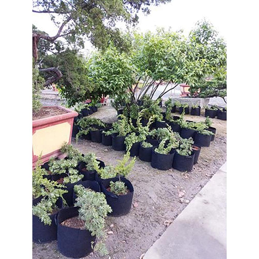 Bolsas de Cultivo de Tela Negra Magik 8 Pcs 3-10 Galones