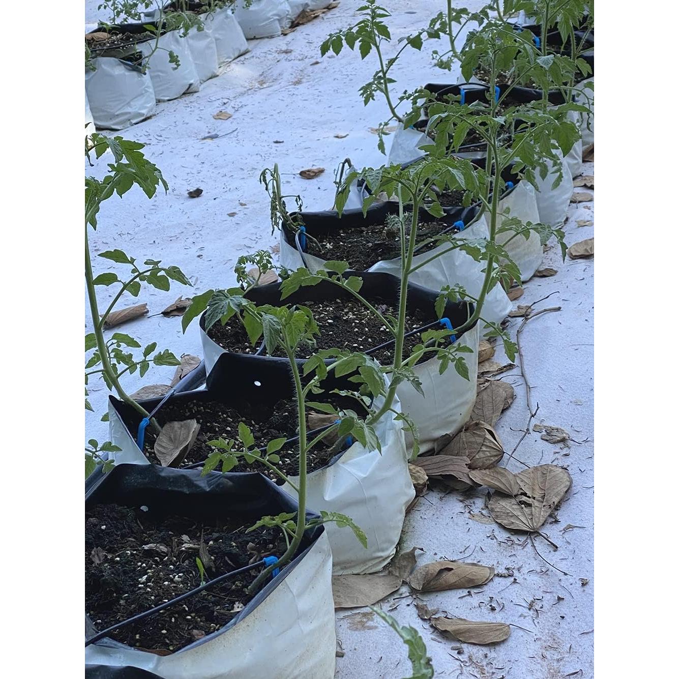 Bolsas de Cultivo HORTIPOTS Negras y Blancas 2 Galones 50 Pzas