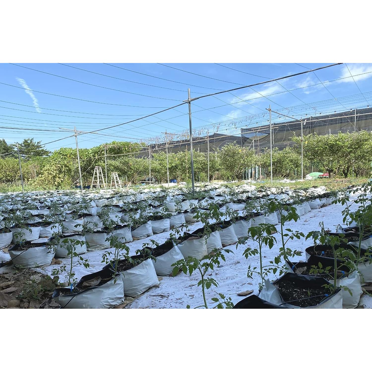 Bolsas de Cultivo HORTIPOTS Negras y Blancas 2 Galones 50 Pzas