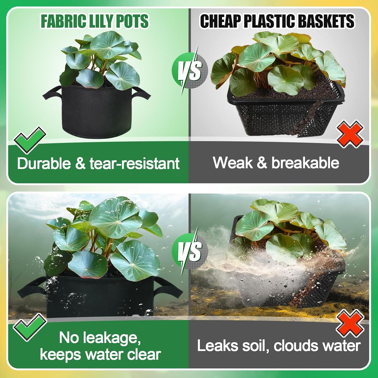 Paquete de 8 macetas de cultivo Aulock para lirios 30 cm