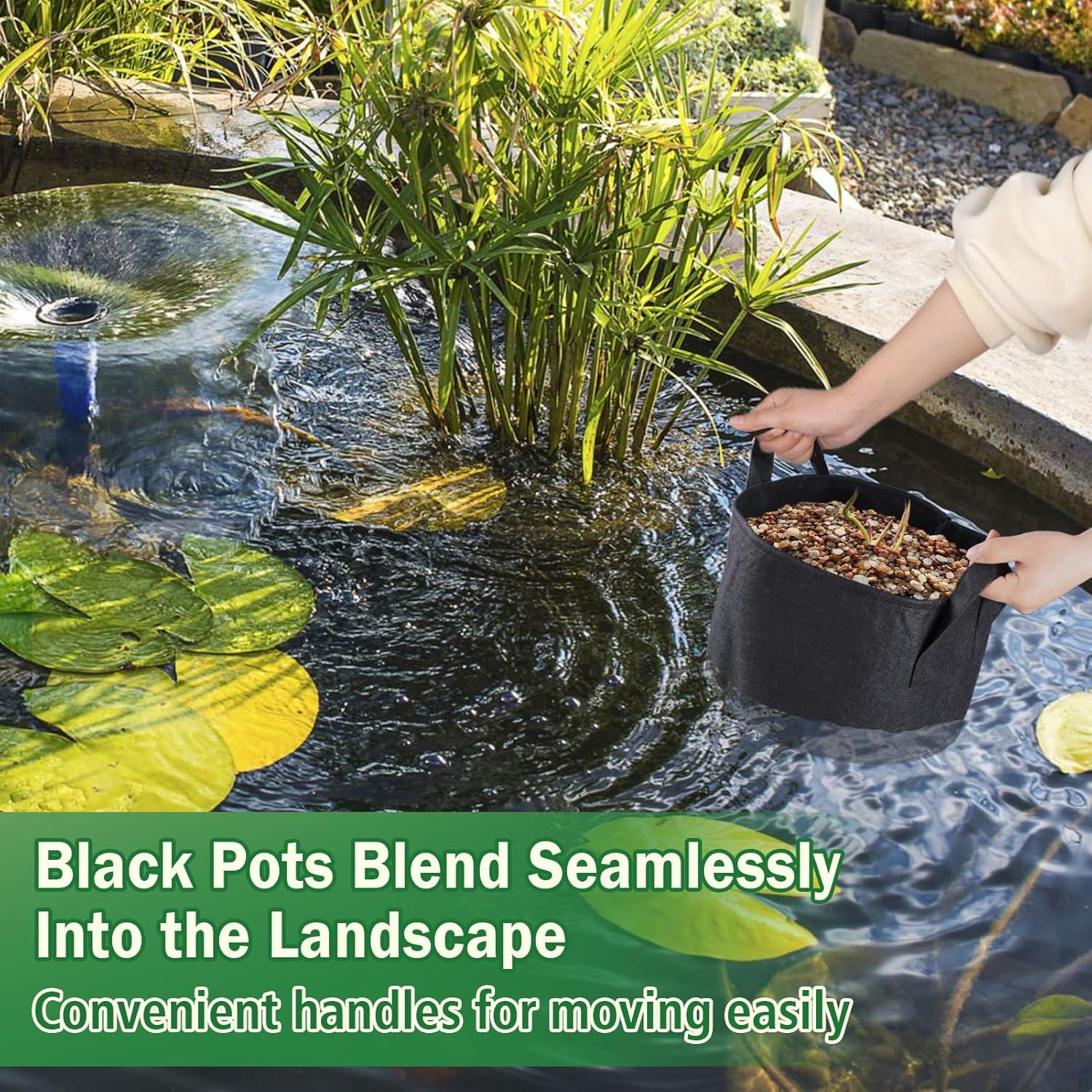 Paquete de 8 macetas de cultivo Aulock para lirios 30 cm