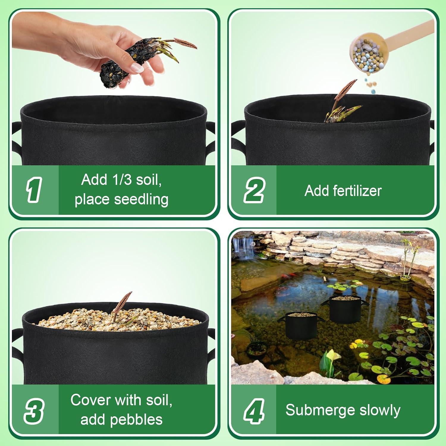 Paquete de 8 macetas de cultivo Aulock para lirios 30 cm