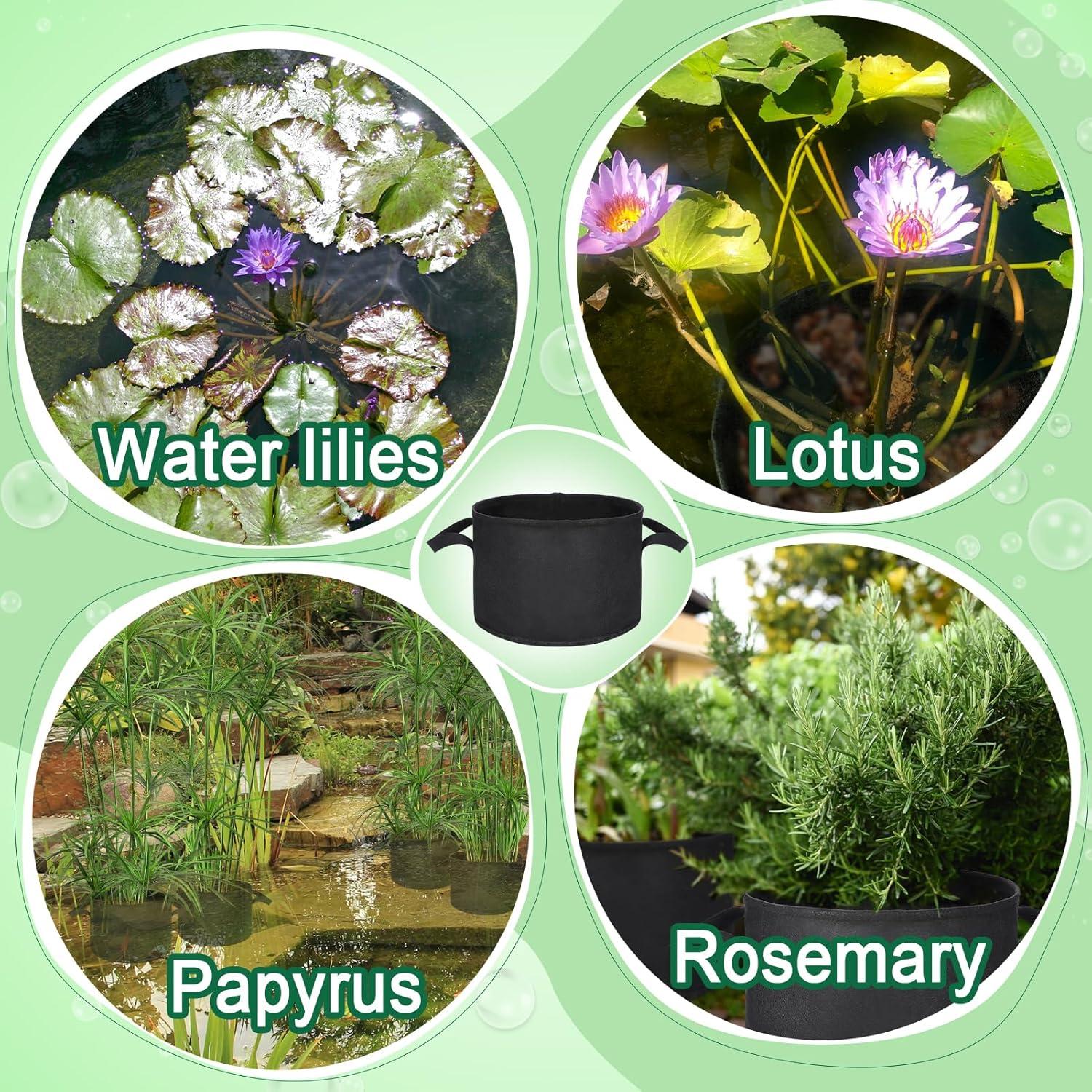 Paquete de 8 macetas de cultivo Aulock para lirios 30 cm