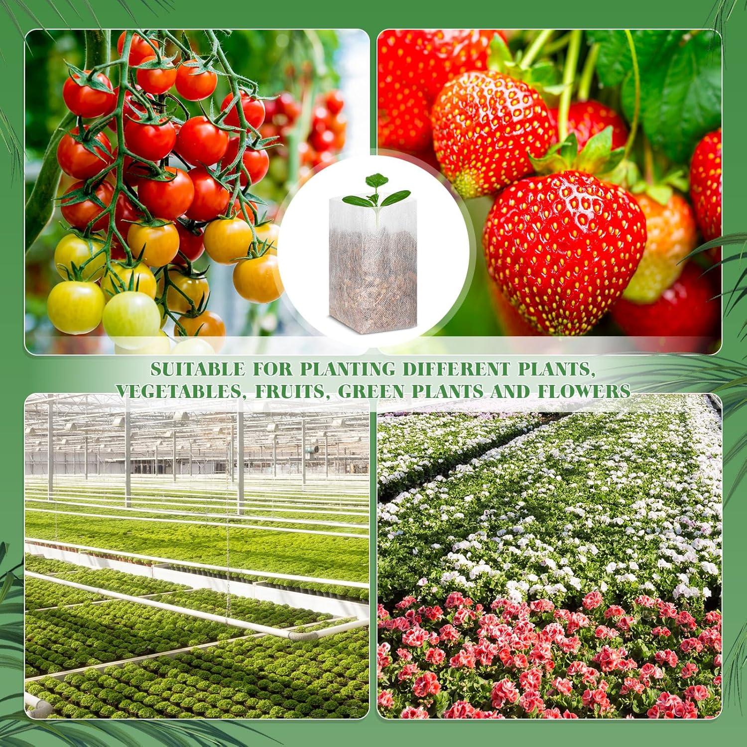 1000 Bolsas de Vivero Wesnoy 15x16cm Tela No Tejida para Jardín