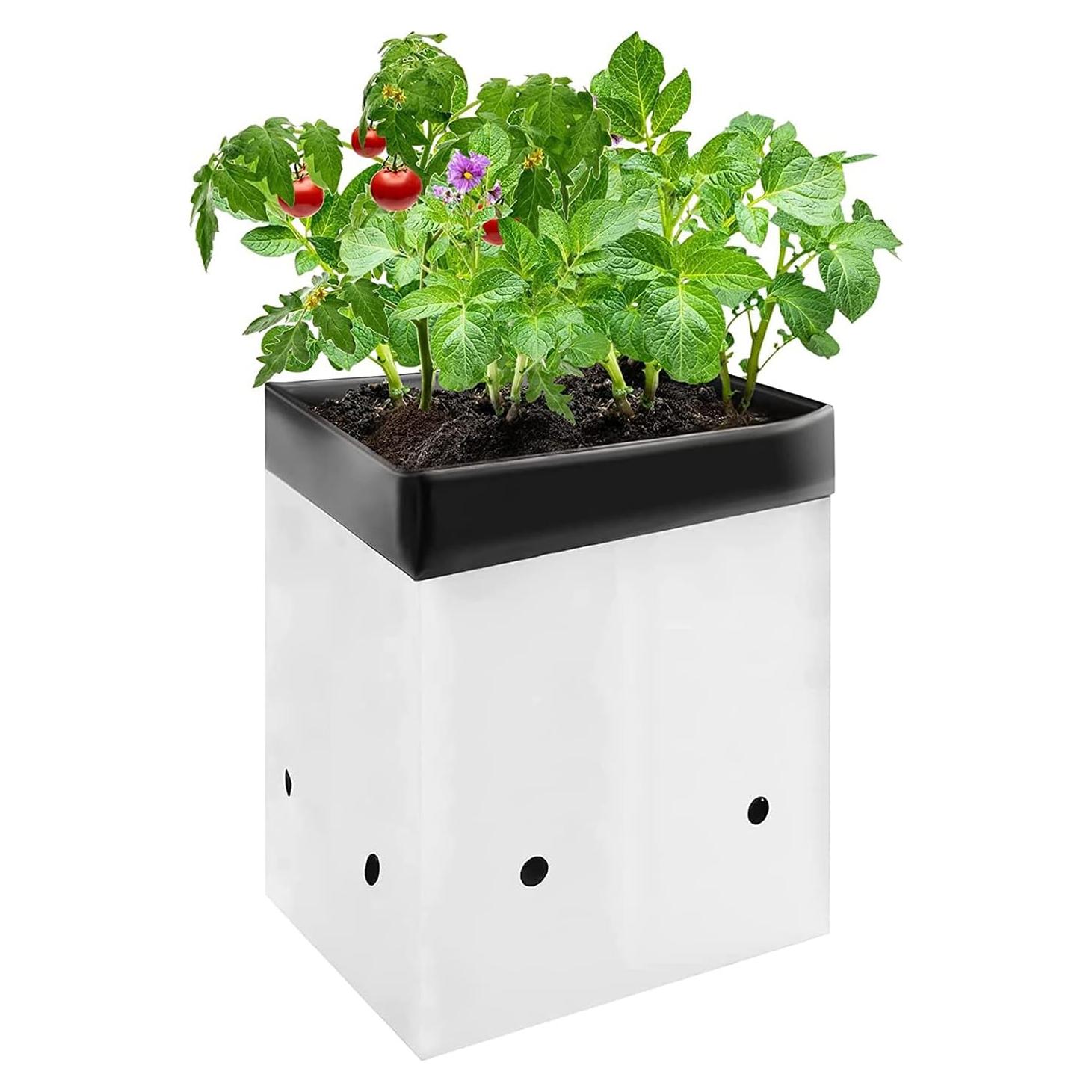 Bolsas de Cultivo VIVOSUN 50-Pack 7.57 L para Plantas