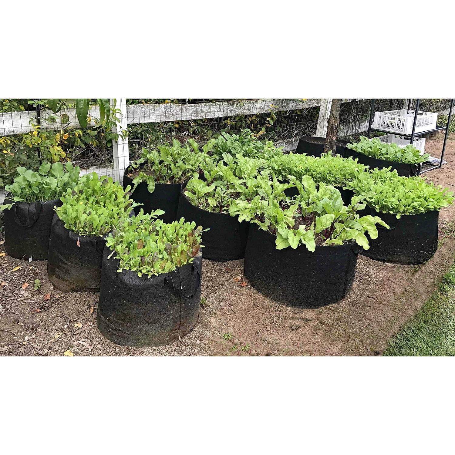 Bolsas de Cultivo Enroot 5-Pack 11.36L Tela Rosa Duraderas