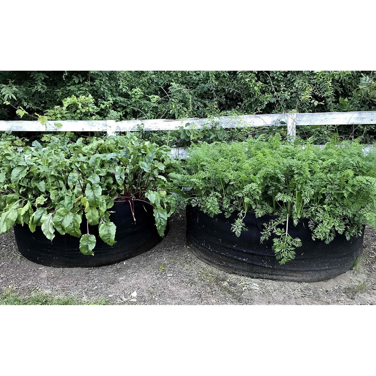 Bolsas de Cultivo Enroot 5-Pack 11.36L Tela Rosa Duraderas