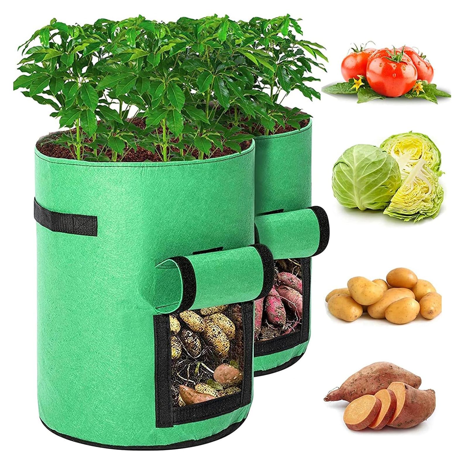 Paquete de 2 Bolsas de Cultivo TENOVER 43L con Ventana