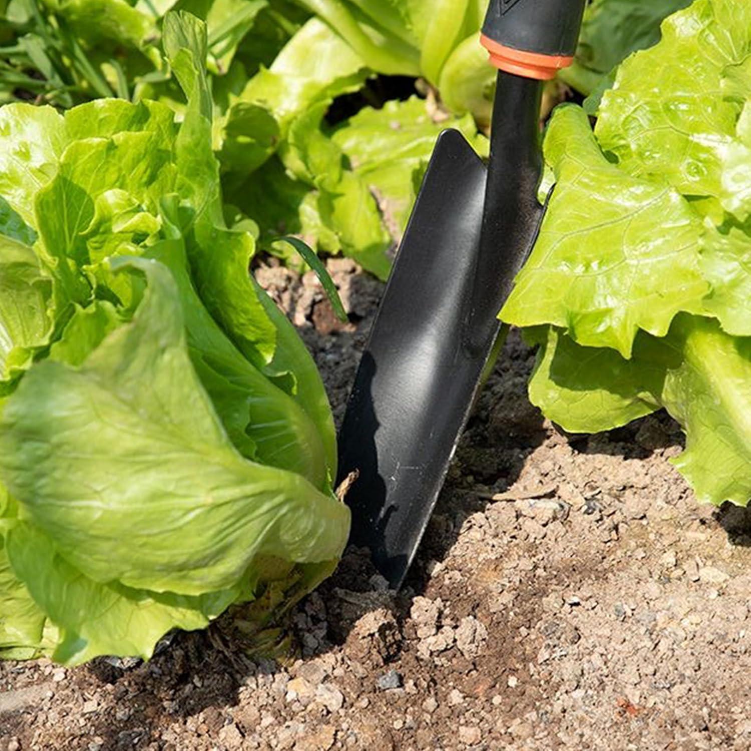 Juego de Herramientas de Jardín 4 Piezas Hierro Resistente