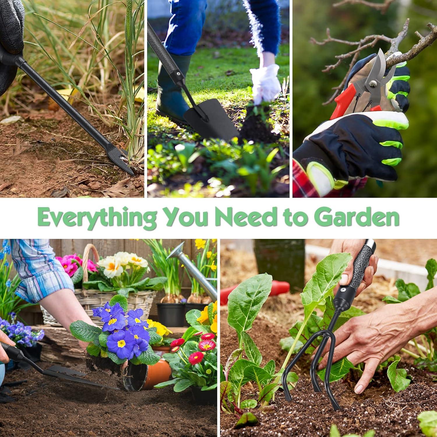 Juego de Herramientas de Jardín 5 Piezas con Mango Extendido