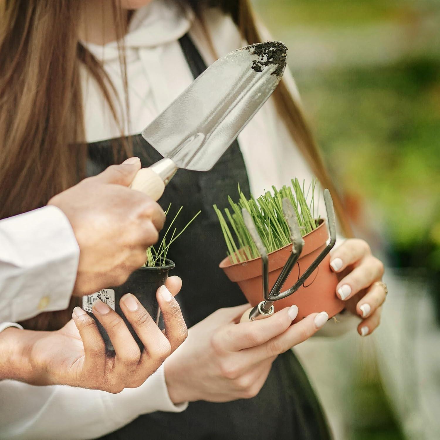 Juego de Herramientas de Jardinería Gardlover 10 Piezas Acero Inoxidable