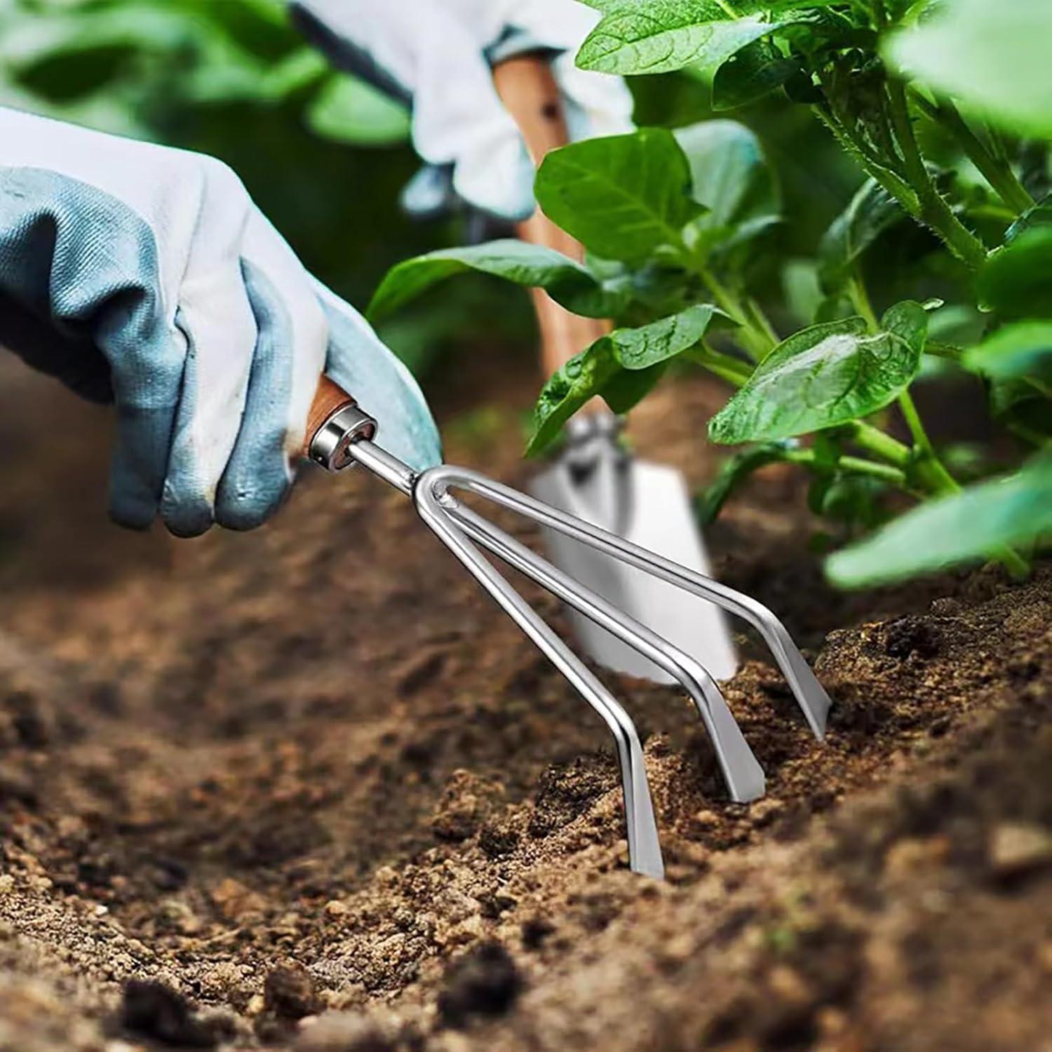 Juego de Herramientas de Jardín 5 Piezas Acero Inoxidable Xfspyy