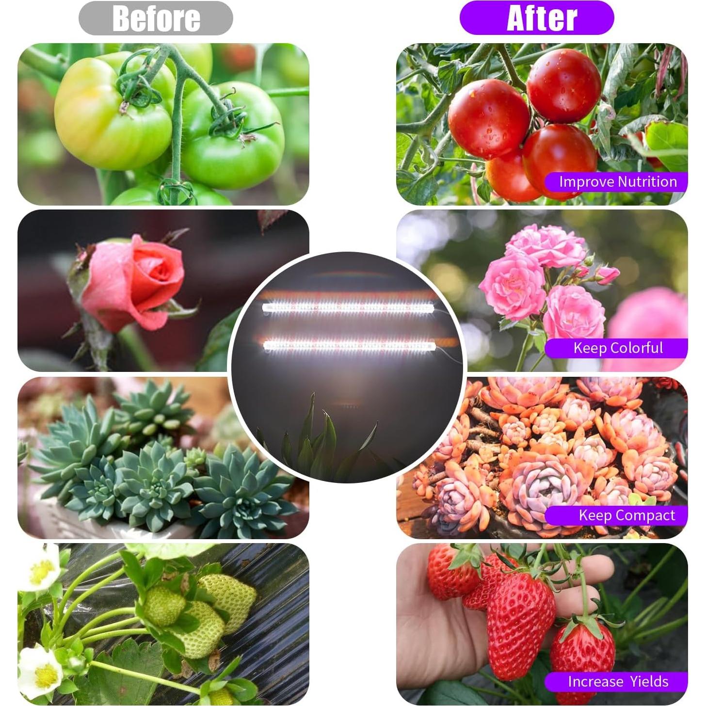 Luz de Cultivo LED RWNTAO 2 Paquete 240 LEDs Espectro Completo