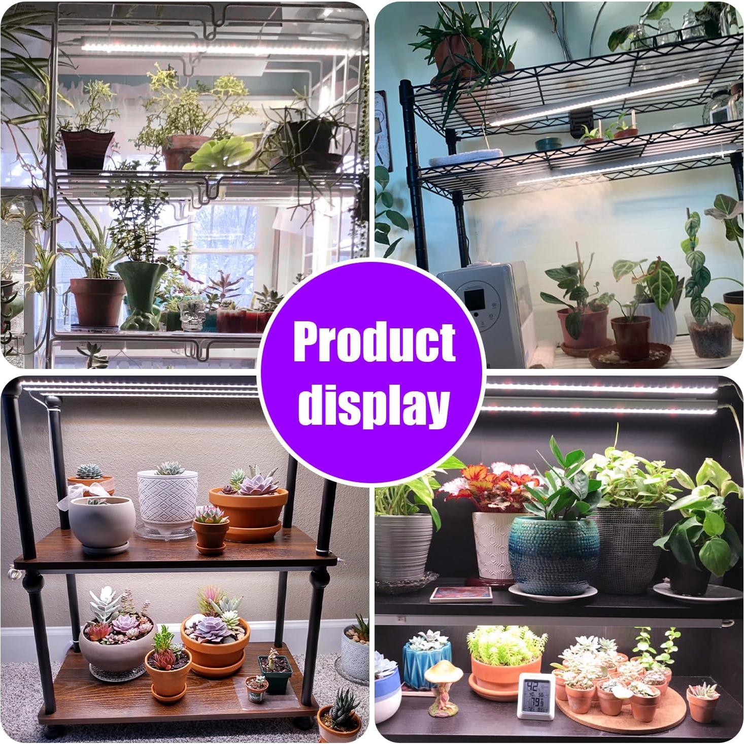 Luz de Cultivo LED RWNTAO 2 Paquete 240 LEDs Espectro Completo