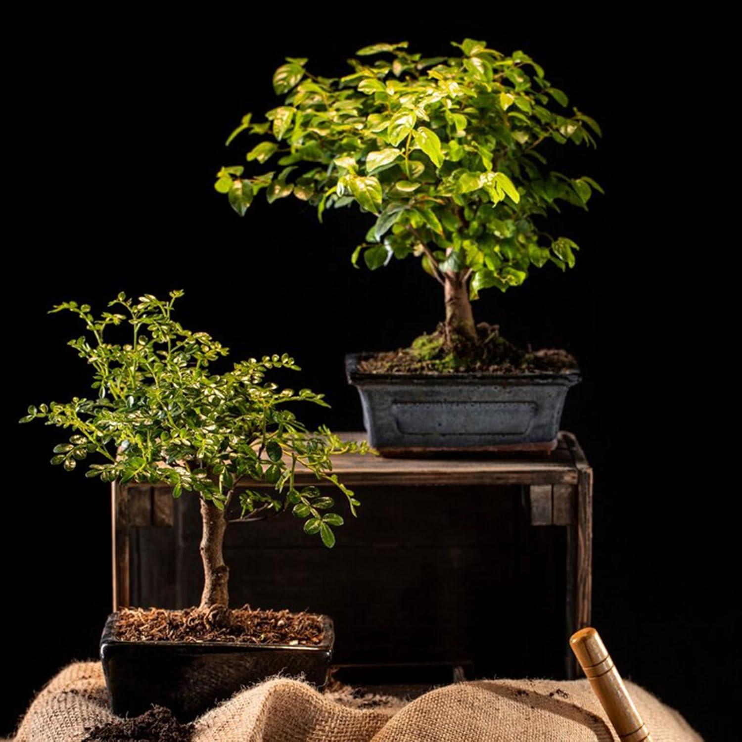 Kit de Herramientas de Jardinería Mini Rukinovi - 3 Piezas