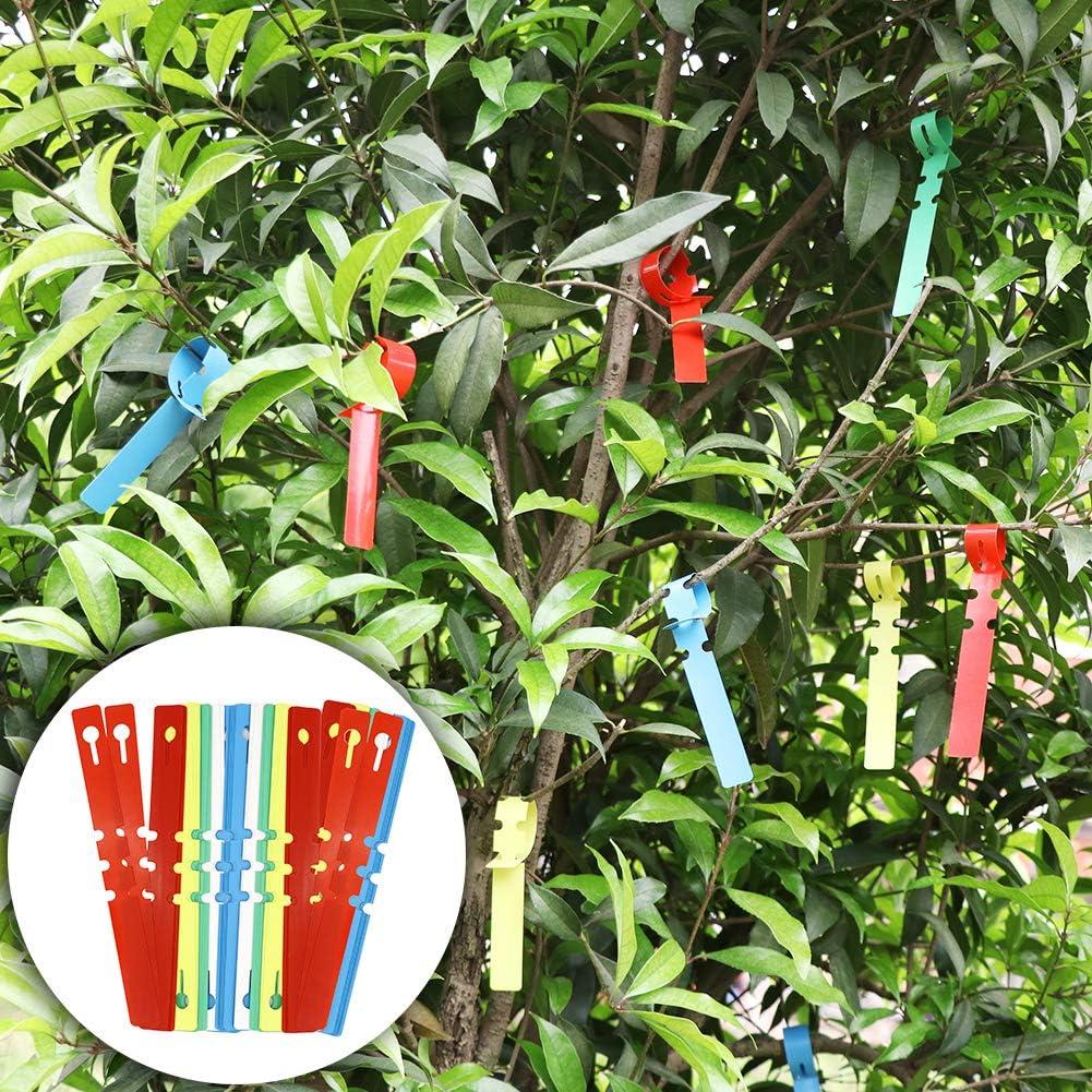 Kit de Herramientas de Injerto ZALALOVA 2 en 1 con Cuchillas