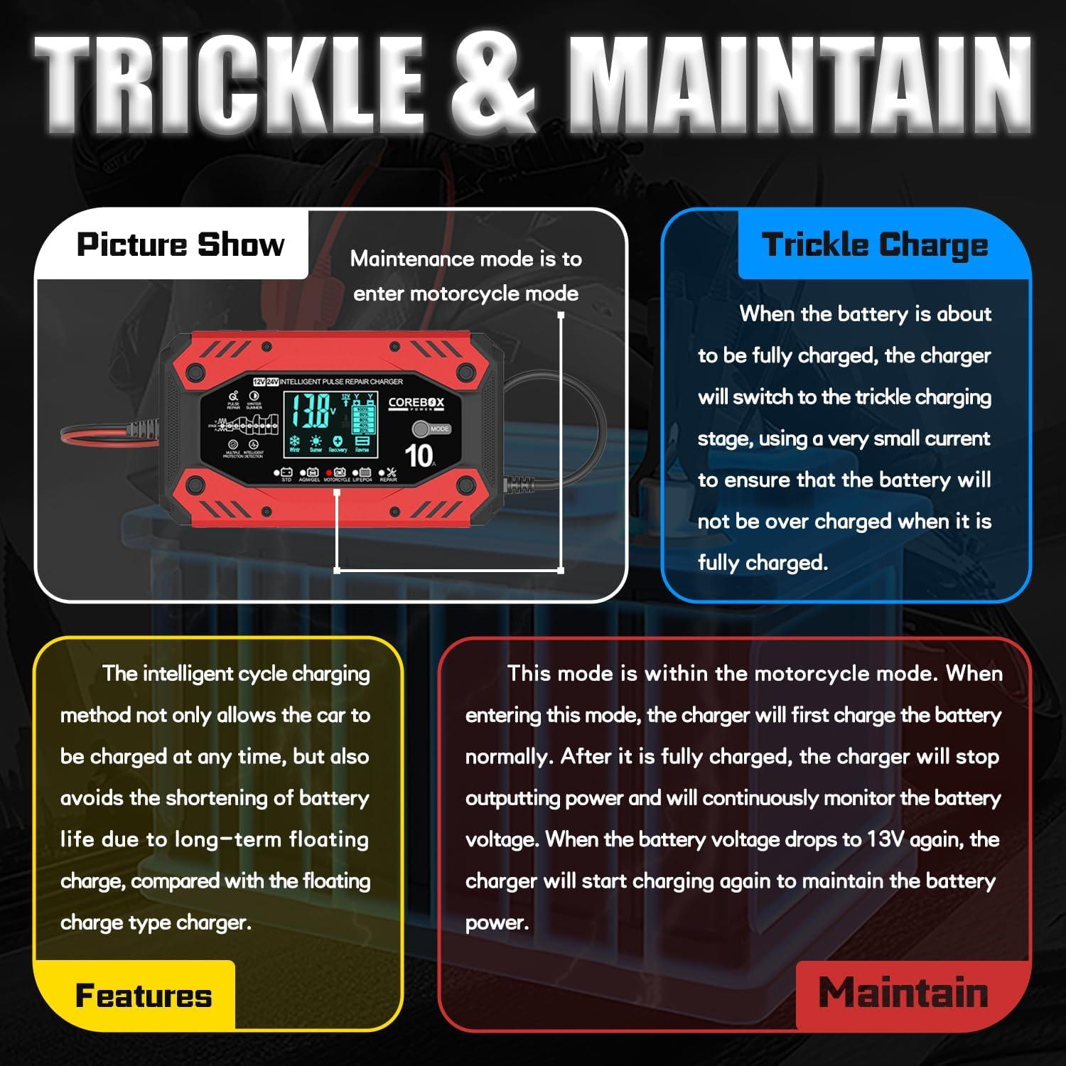 Cargador de Batería Inteligente 10A 12V/24V COREBOX 10CD